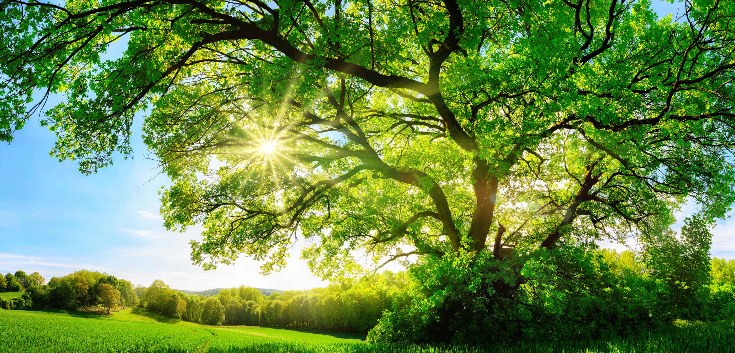 Integrative Enneagram Personality Assessment Tool | Central Jersey